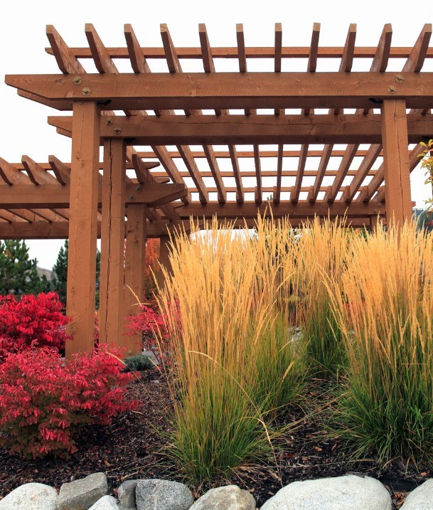 pergola springfield va